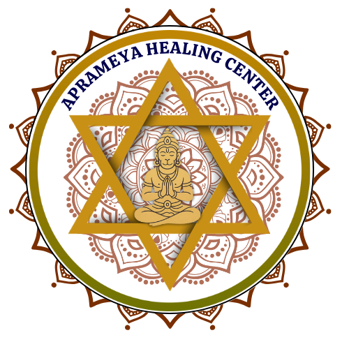Nidhi Fashion Logo
